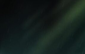 Imagem do grupo de WhatsApp CHAT DO DANDE