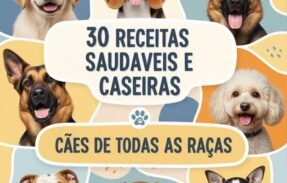 Imagem do grupo de WhatsApp 30 Receitas saudáveis e caseiras