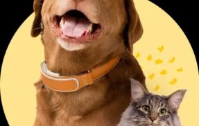 Imagem do grupo de WhatsApp Grupo Pets saudaveis