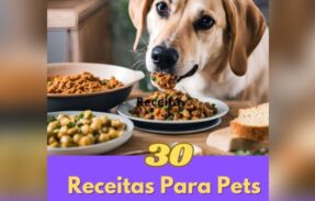 Imagem do grupo de WhatsApp Receitas para pets