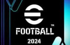 Imagem do grupo de WhatsApp SILVA VENDAS – EFOOTBALL E FF