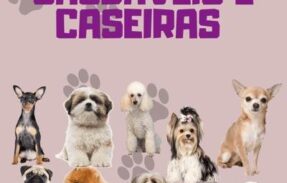 Imagem do grupo de WhatsApp RECEITAS SAUDÁVEIS PARA SEU PET! 