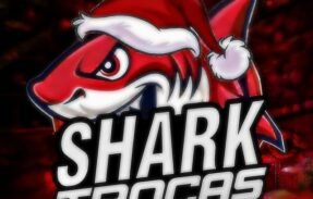 Imagem do grupo de WhatsApp Shark | Trocas e vendas FF | Roblox 