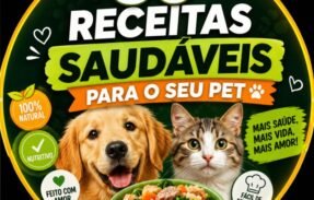 Imagem do grupo de WhatsApp Receitas Saudáveis 