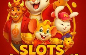 Imagem do grupo de WhatsApp SLOTS JU FRAN