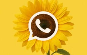 Imagem do grupo de WhatsApp EQUIPE EP RENDA EXTRA 