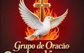 Imagem do grupo de WhatsApp Grupo de Oração  JESUS VIVO️️