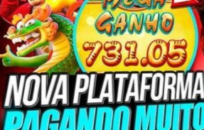 GRUPO DE PLATAFORMAS NOVAS #2