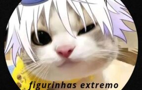 Imagem do grupo de WhatsApp FIGURINHAS EXTREMO 