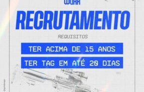 Imagem do grupo de WhatsApp RECRUTAMENTO TEAM WORK²