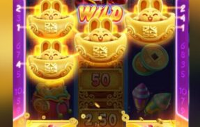 Imagem do grupo de WhatsApp Plataformas bugadas é legalizada 2.0