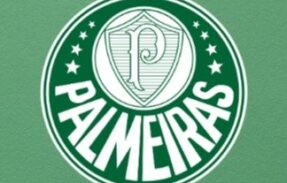Imagem do grupo de WhatsApp Verdão 2025 | AQUI É PALMEIRAS 🟢