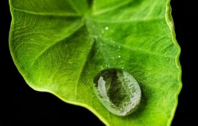 Imagem do grupo de WhatsApp (Triagem) AntiSocial Club [Teologia]