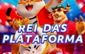 Imagem do grupo de WhatsApp REI DAS PLATAFORMAS