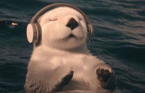 Imagem do grupo de WhatsApp ¥π§= /Resenha Sem Fim/¥π§=