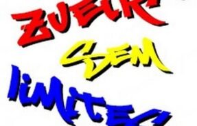 Imagem do grupo de WhatsApp ZUEIRA SEM LIMITES ️‍