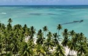 Imagem do grupo de WhatsApp PRODUTOS NOVOS E USADOS