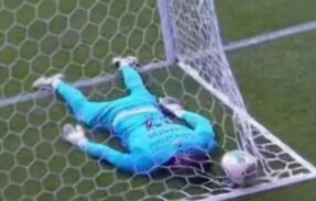 Imagem do grupo de WhatsApp Bragreleirão 