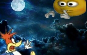 Imagem do grupo de WhatsApp SHADOW OF NEW ORDEM