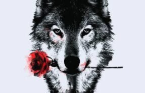 Imagem do grupo de WhatsApp FURRY EPIC +