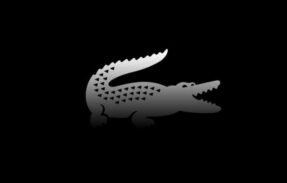 Imagem do grupo de WhatsApp  L A C O S T E S  ™