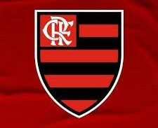 Imagem do grupo de WhatsApp MUNDO DOS FLAMENGUISTA️