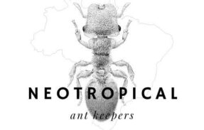 Imagem do grupo de WhatsApp Neotropical Ant Keepers 🇧🇷 Imagem do grupo de WhatsApp Neotropical Ant Keepers 🇧🇷