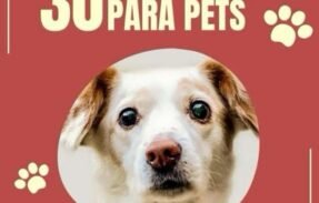 Imagem do grupo de WhatsApp PETS SAUDÁVEIS