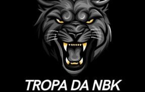 Imagem do grupo de WhatsApp RECRUTAMENTO DA NBK