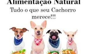 Alimentação saudável pra cachorro