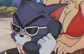 Imagem do grupo de WhatsApp ️Visionários Network 2026