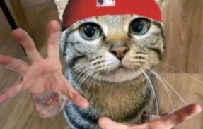 Imagem do grupo de WhatsApp AMIZADES QUE PODEM SER COLORIDAS