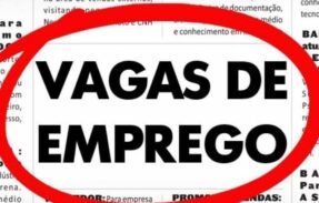 Imagem do grupo de WhatsApp Trabalho Certo – Vagas Todo Dia