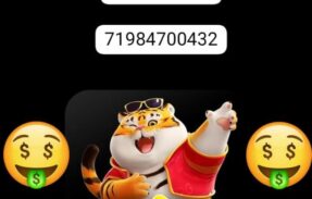 Imagem do grupo de WhatsApp ⭐79K GRUPO PLATAFORMA PAGANTE ⭐