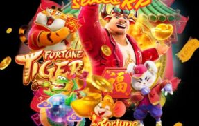 Imagem do grupo de WhatsApp PLATAFORMAS PREMIUM( Somente plataformas verdadeiras!!! )