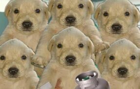 Imagem do grupo de WhatsApp Ｂａｇｕｎçａ ２４ｈｒｓ