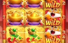Imagem do grupo de WhatsApp Plataforma pagando agora 🪇🪘
