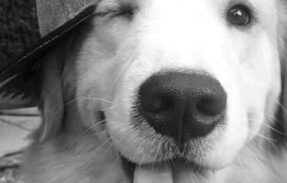 Imagem do grupo de WhatsApp 𝕌𝕟𝕚𝕕𝕠𝕤 𝕡𝕖𝕝𝕒 𝔹𝕒𝕘𝕦𝕟ç𝕒