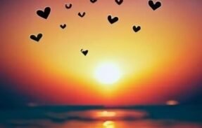 Imagem do grupo de WhatsApp Sunshine