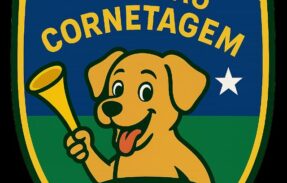 Imagem do grupo de WhatsApp  UNIÃO CORNETAGEM F.C 