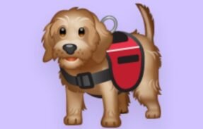 Imagem do grupo de WhatsApp Amor com o seus pets️‍