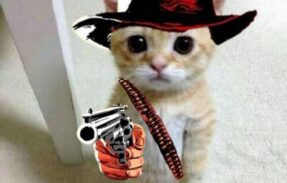 Imagem do grupo de WhatsApp Resenha e games