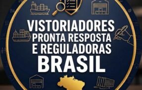 Imagem do grupo de WhatsApp Vistoriadores Pronta Resposta e Reguladoras Brasil ‍️‍️‍️🇧🇷