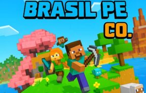Imagem do grupo de WhatsApp  Minecraft Brasil PE Co. 