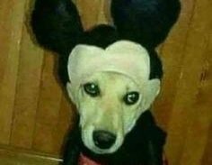 Imagem do grupo de WhatsApp  Ｚｏｎａ 