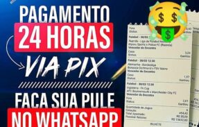 Imagem do grupo de WhatsApp DP PALPITES APOSTAS ‍