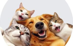 Imagem do grupo de WhatsApp Pet Guia Brasil