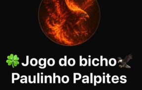 Imagem do grupo de WhatsApp PALPITES e BANCA JOGO DO BICHO VIA PIX NA HORA