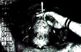 Imagem do grupo de WhatsApp Terra sem lei