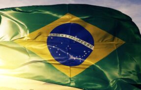 Imagem do grupo de WhatsApp 🇧🇷 Direita 24H  Brasil 🇧🇷